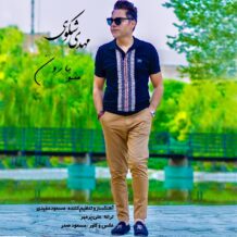 دانلود آهنگ جدید مهدی شکوهی به نام منو بارون